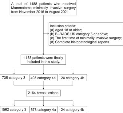 Vacuum-assisted biopsy system for breast lesions: a potential therapeutic approach